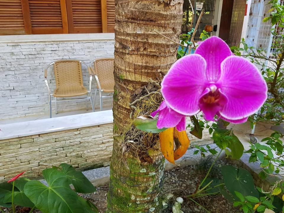Pousada Morada Das Ilhas 보이쿠캉가 외부 사진
